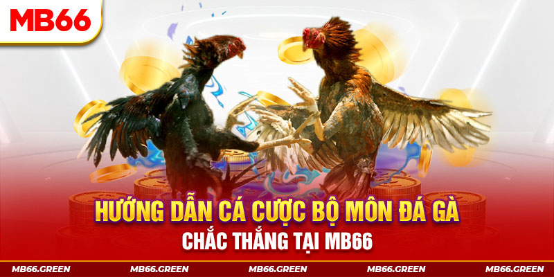 vvvwin6 CQ9 Điện Tử