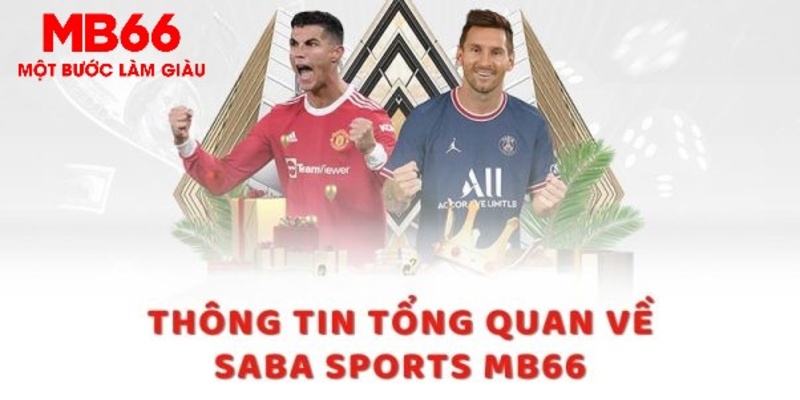 vvvwin6 trực tiếp xổ số miền bắc