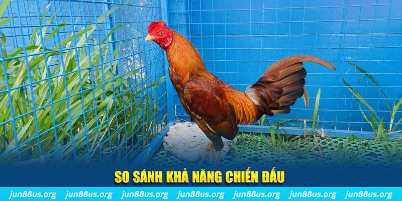 vvvwin6 xổ số tiền giang