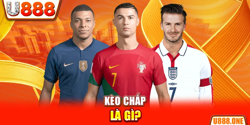 vvvwin6 chổi lông gà
