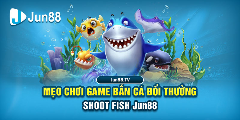 vvvwin6 tai game danh bai bigkool ve may tinh