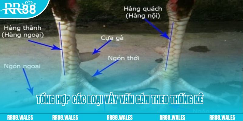 vvvwin6 nổ hũ chơi như thế nào