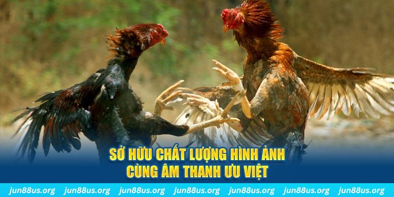 vvvwin6 tai game danh bai ve may tinh