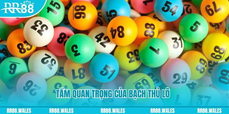 vvvwin6 đá gà trực tiếp casino