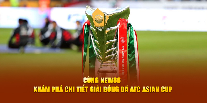 vvvwin6 78 vảy gà tốt nên chọi