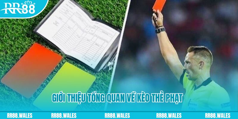 vvvwin6 sổ xô miên bắc