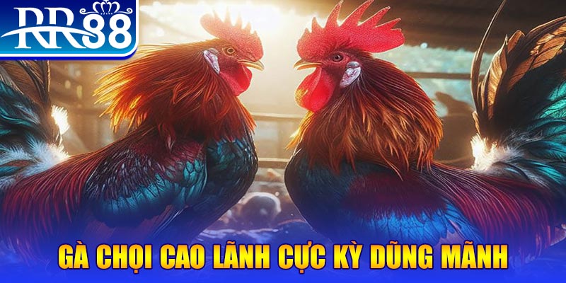 vvvwin6 natural” trong baccarat nghĩa là gì？
